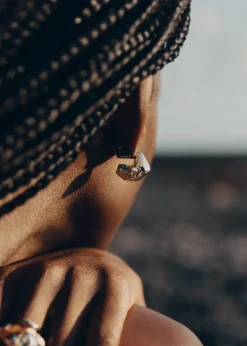 Puces d’oreilles Eroz