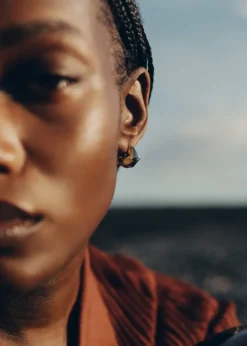 Puces d’oreilles Eroz