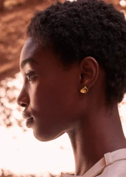 Puces d’oreilles Éole