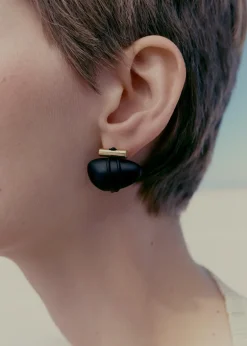 Puces d'oreilles Téré