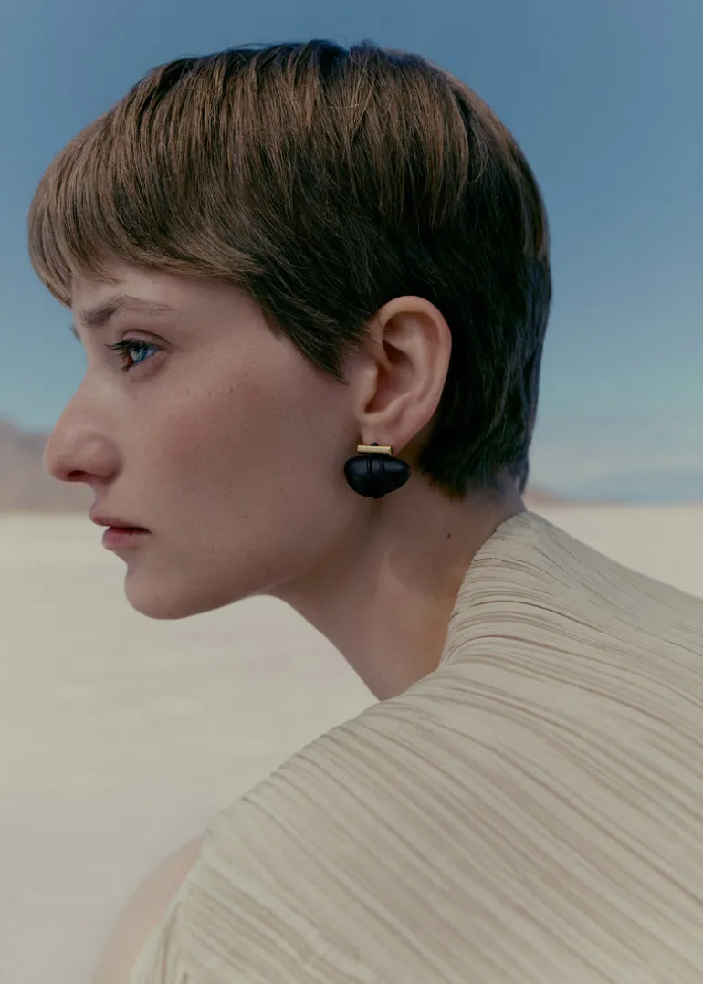 Puces d'oreilles Téré